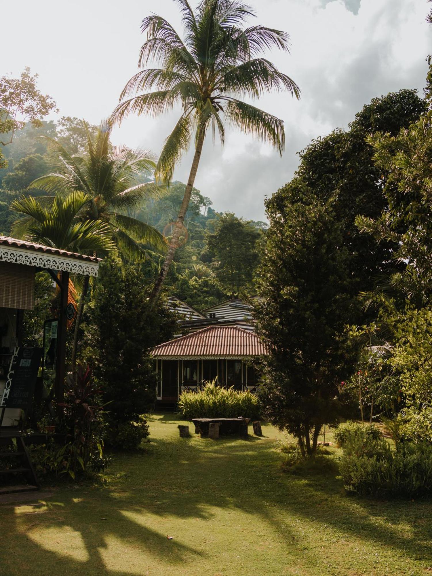 1511 Coconut Grove Villa Kampong Juara Eksteriør billede